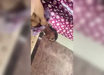 Watch my Indian girlfriend Perceives timid in front of camera while she sucks and fucks like a pro